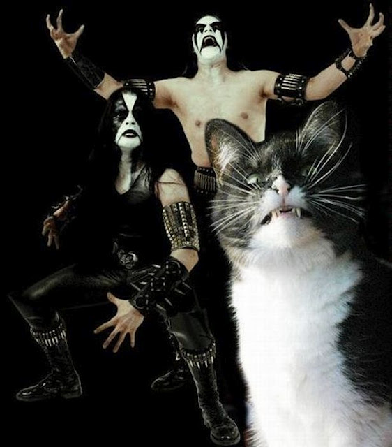 Black Metal Cat - Immortal